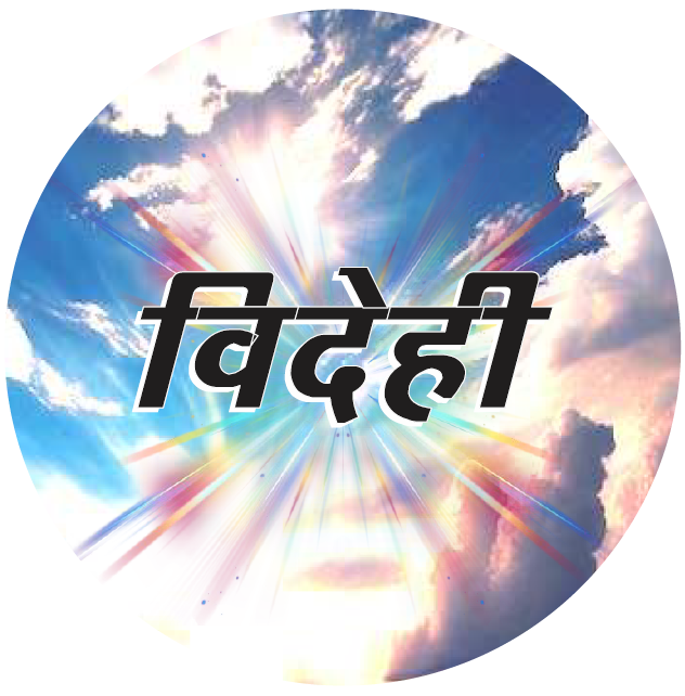 VIDEHI INTERNATIONAL